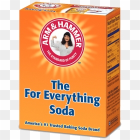 Pet, HD Png Download - baking soda png