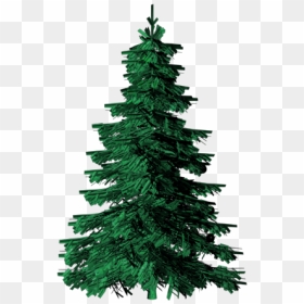 Free Evergreen Trees Png, Download Free Clip Art, Free - Evergreen Tree Clip Art, Transparent Png - evergreen tree png