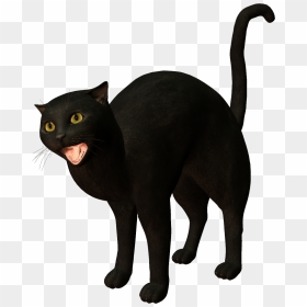 Bombay Cat Burmese Cat Korat Black Cat - Black Cat, HD Png Download - cat png transparent