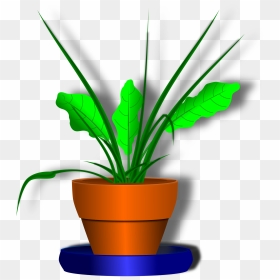 Flower And Flowerpot Clip Arts - Potted Plants Cartoon Transparent Background, HD Png Download - flower pot png