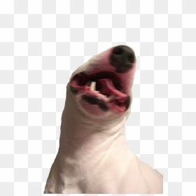 Walter Png, Transparent Png - screaming png