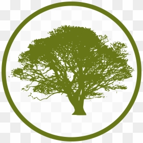 Tree Icon Png - Green Tree Silhouette Png, Transparent Png - tree icon png