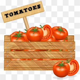 Tomato Box Png, Transparent Png - vegetable png
