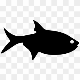 Fish Silhouette - Fish Silhouette Png, Transparent Png - fish silhouette png