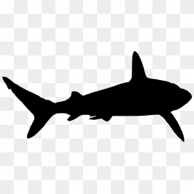 Shark Silhouette Png, Transparent Png - fish silhouette png