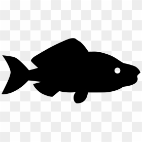 Fishing Silhouette Carp Clip Art - Silhouette Of Carp Fish, HD Png Download - fish silhouette png