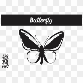 Butterfly Silhouette Svg Vector Image Graphic By Arief - Batik Mega Mendung Vector Png, Transparent Png - fish silhouette png