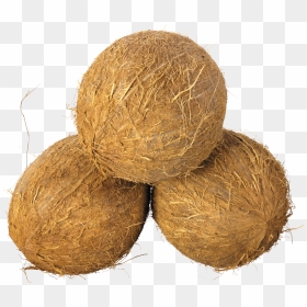 Coconut Clipart Transparent Background - Coco Nuts Png, Png Download - hay png