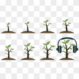 7, 2018, Noon - Growing Tree Icon Png, Transparent Png - tree icon png