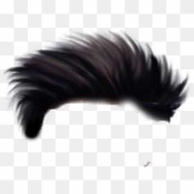 Hair Men Png - Effect Picsart Dark Background, Transparent Png - hairstyle png