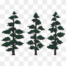 Preview - Mountain Trees Png, Transparent Png - evergreen tree png