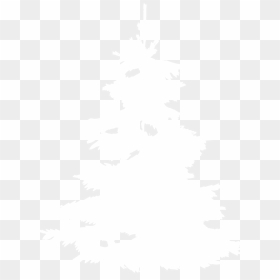 Tree-icon - Johns Hopkins Logo White, HD Png Download - tree icon png