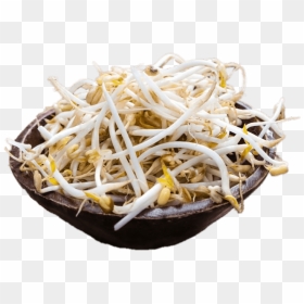 Beansprout Transparent Background, HD Png Download - sprout png