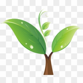 Tree Sprout Free Download - Seedling Png, Transparent Png - sprout png
