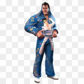 Honky Tonk Man - Honkytonk Man Wwe All Stars, HD Png Download - randy orton rko png