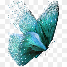 #dispersion #butterflies #teal - Teal Colored Butterflies, HD Png Download - dispersion effect png