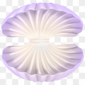 Png Open Clam Shell Clipart , Png Download - Scallop, Transparent Png - clam png