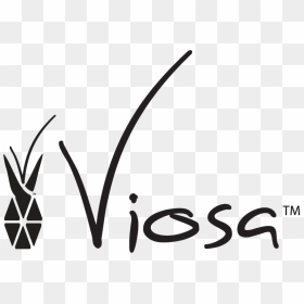 Viosa - Calligraphy, HD Png Download - swag glasses png