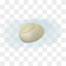 Transparent Clams Png - Baltic Clam, Png Download - clam png
