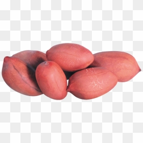 Peanut Png - Peanut Images Hd, Transparent Png - groundnut png