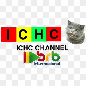 Ichc Channel Brb Internacional Logo - Brb Internacional Logo, HD Png Download - brb png