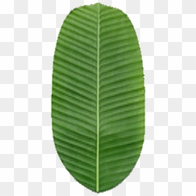 Banana Leaf Png - Logo Leaf Banana, Transparent Png - full banana leaf png