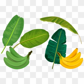 Banana Leaf Sadhya Transprent Png Free Download - Banana Cartoon Leaves, Transparent Png - full banana leaf png