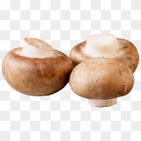 Organic Mushroom Png Image Download - Baby Bella Mushrooms, Transparent Png - organic png