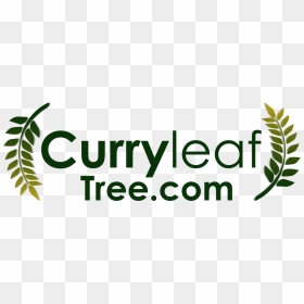 Nager En Eau Libre, HD Png Download - curry leaves png