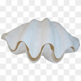 Giant Clam, HD Png Download - clam png