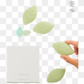 Paper, HD Png Download - organic png