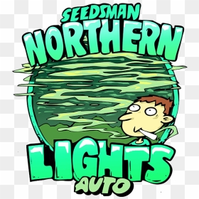 Northern Lights Auto Feminised Cannabis Seeds By Seedsman - Northern Lights Auto Seedsman, HD Png Download - northern lights png