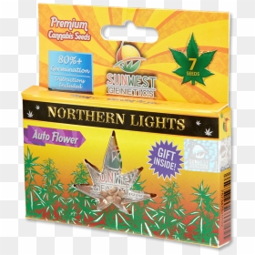 Northern Lights Strain Auto Flowering, HD Png Download - northern lights png