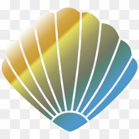 Transparent Background Seashell Clipart, HD Png Download - clam png