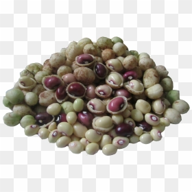Vigna Subterranea, HD Png Download - groundnut png