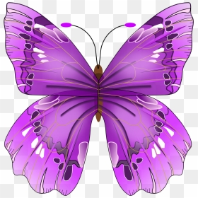 Butterfly Png Image - Clip Art Purple Clip Art Butterfly, Transparent Png - butter fly png