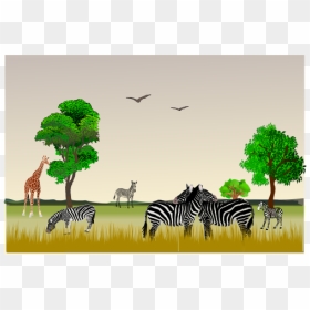 African Wildlife Scenery Vector Image - Nature Reserve Clipart, HD Png Download - scenery png