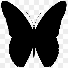 Butterfly - Silhouette Butterfly Svg Free, HD Png Download - butter fly png