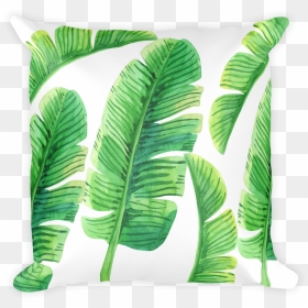 Transparent Banana Leaf Png - Sabal Palmetto, Png Download - full banana leaf png