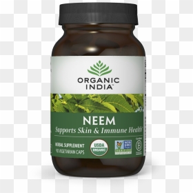 Organic India Moringa, HD Png Download - neem tree png