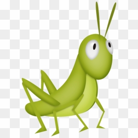 Cricket Clipart Insect Grasshopper - Insect Cricket Clipart, HD Png Download - cricket clipart png