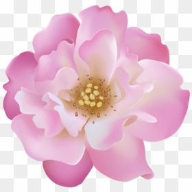 Free Png Download Pink Rosebush Flower Transparent - Artificial Flower, Png Download - png flowers download