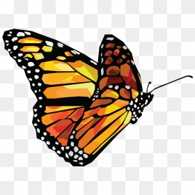 Butterfly Vector Png , Png Download - Butterflies Gif Transparent Background, Png Download - vector png hd