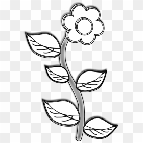 Rap Clipart Black And White - Plant In Black And White, HD Png Download - kalash clip art png