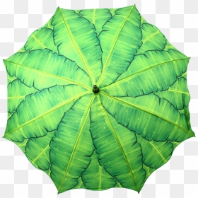 Umbrella Banana Leaves - Umbrella, HD Png Download - full banana leaf png