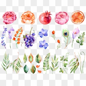Watercolor Flowers Flower Painting Download Hq Png - Color Grapes Flowers Watercolor, Transparent Png - png flowers download