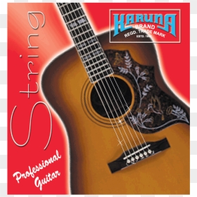 Acoustic Bar Guitar String - Poster, HD Png Download - tanpura png