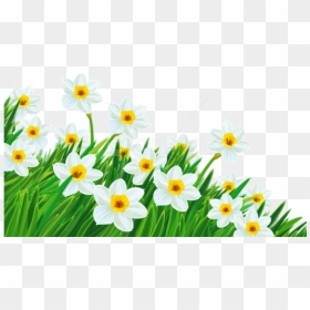 Free Png Download Transparent Grass With Daffodils - Transparent Background Spring Flowers Clipart, Png Download - png flowers download