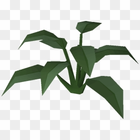 Old School Runescape Wiki, HD Png Download - full banana leaf png