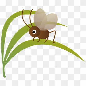 Bell Ring Cricket Insect Clipart - 鈴虫 イラスト 無料, HD Png Download - cricket clipart png